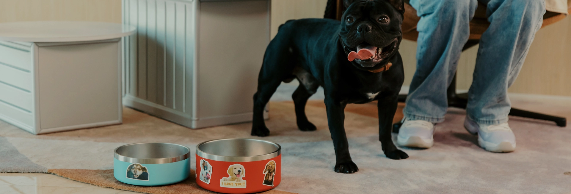 Wholesale Pet Bowls with Factory Direct Pricing